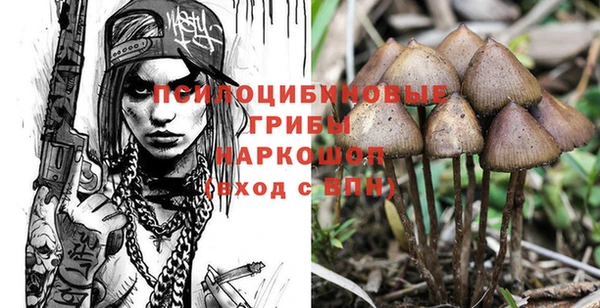 a pvp Армянск