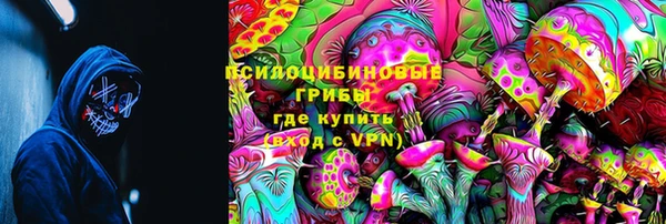 мяу мяу мука Аркадак