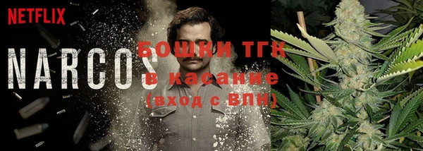 мяу мяу мука Аркадак