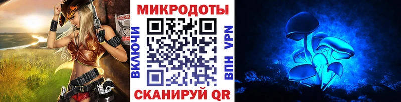 Псилоцибиновые грибы Psilocybe  Полевской 